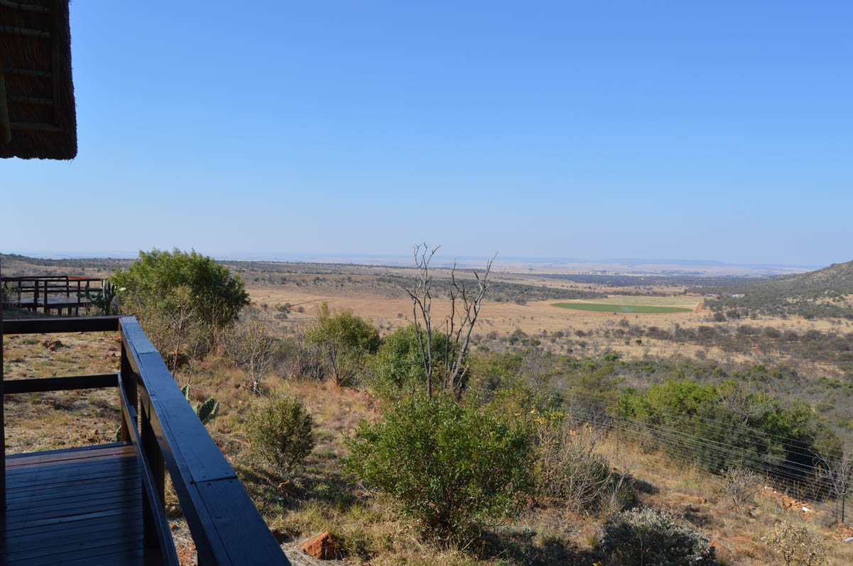 A view from outside of the Lodge